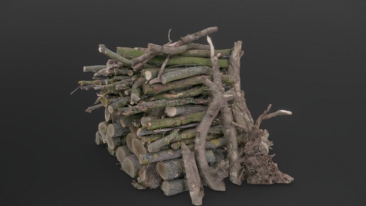 Mixed firewood branches 3D Model