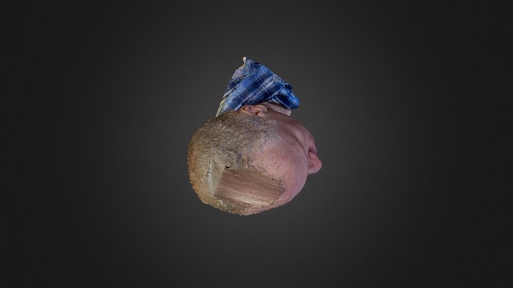 picasso 3D Model