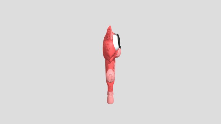 Baby Narnar(Fanmade Model) 3D Model