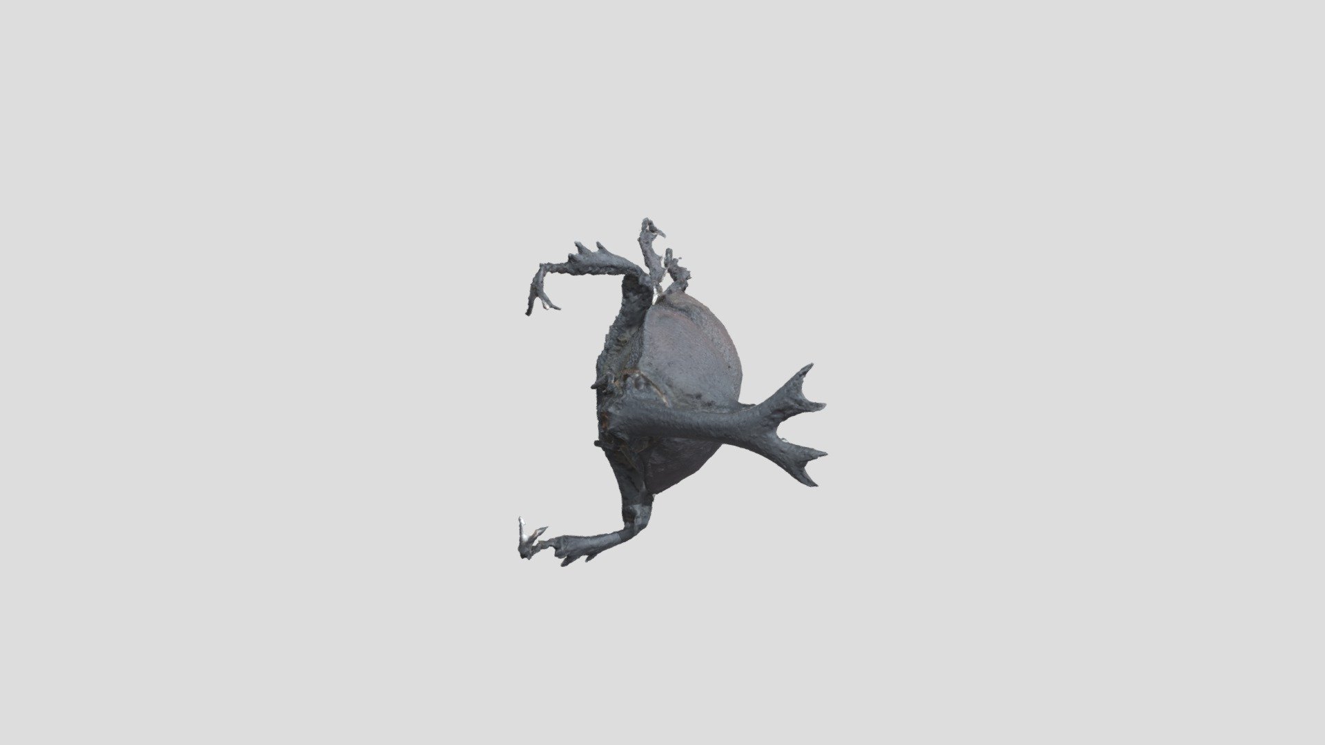 Allomyrina 01 — Sketchfab embed 3D viewer