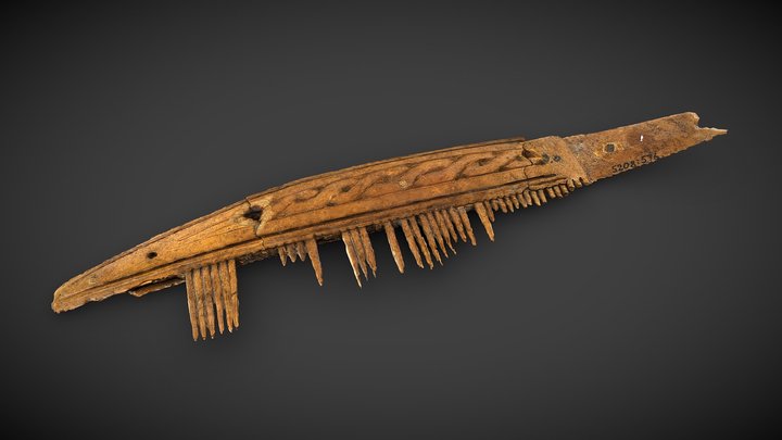 Comb from Birkas black earth