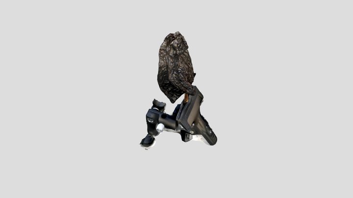 ancho-3 3D Model
