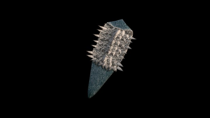 FeatherFoldedShield 3D Model
