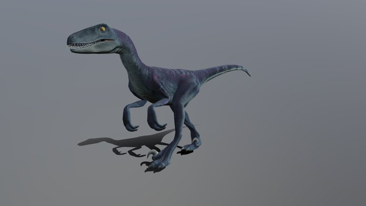Velociraptor