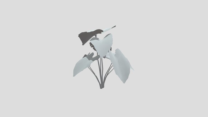 Elephant Ear Taro Plant Med Var – Modèle 3D gratuit STL
