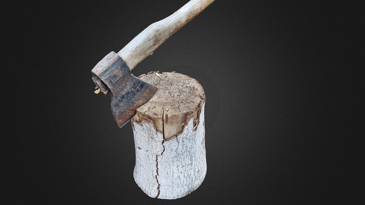 Trunk with Axe (High poly raw) Scan 3D Model