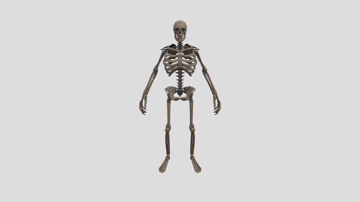 _skeleton_meme 3D Model