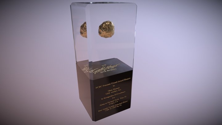 Gold Nugget Award 3D Model