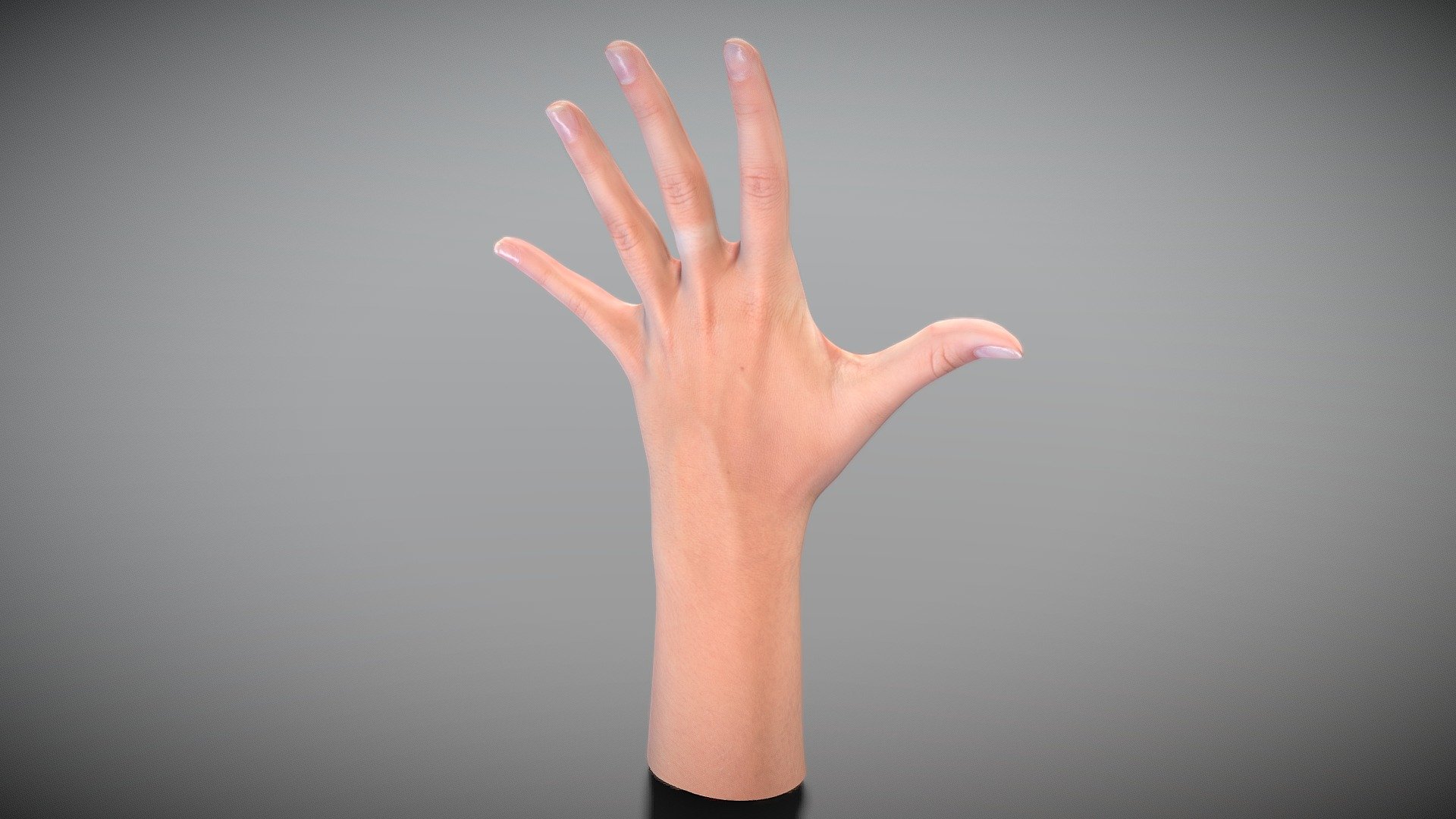 Female hand 39