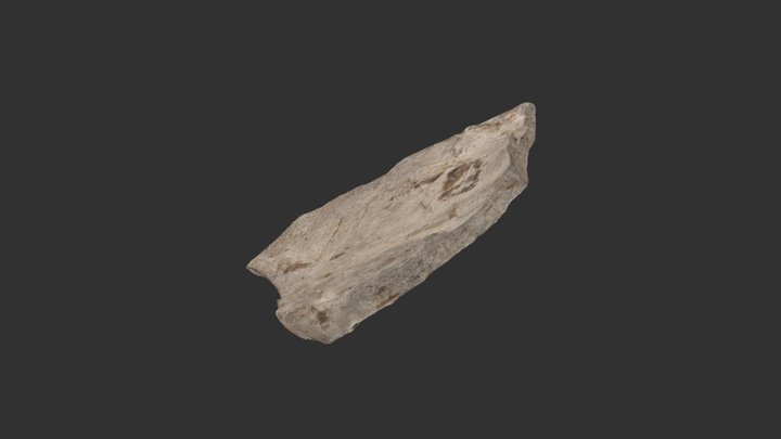 LD12-3951 3D Model