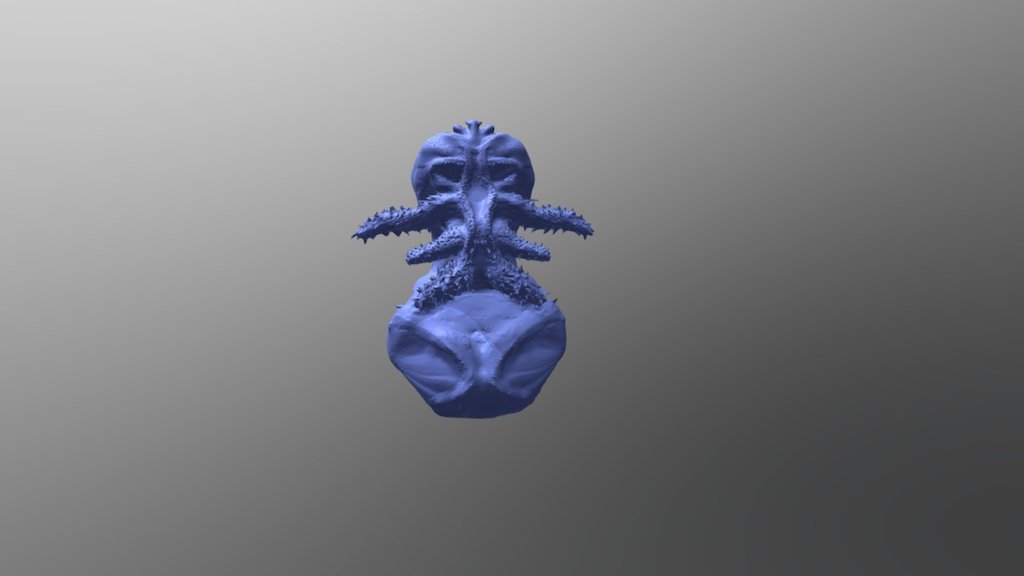 Alien head