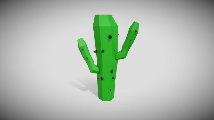 Cactus 3D Model