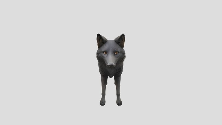 Dark Grey Wolf