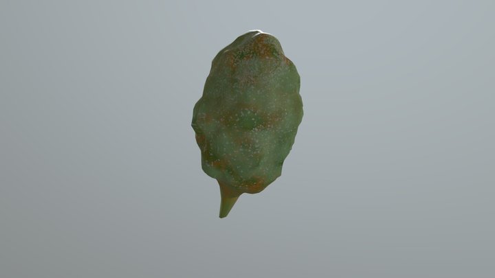 weednug 3D Model