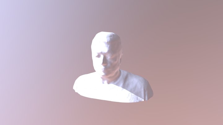 Self scanned bust with kinect v2 3D Model
