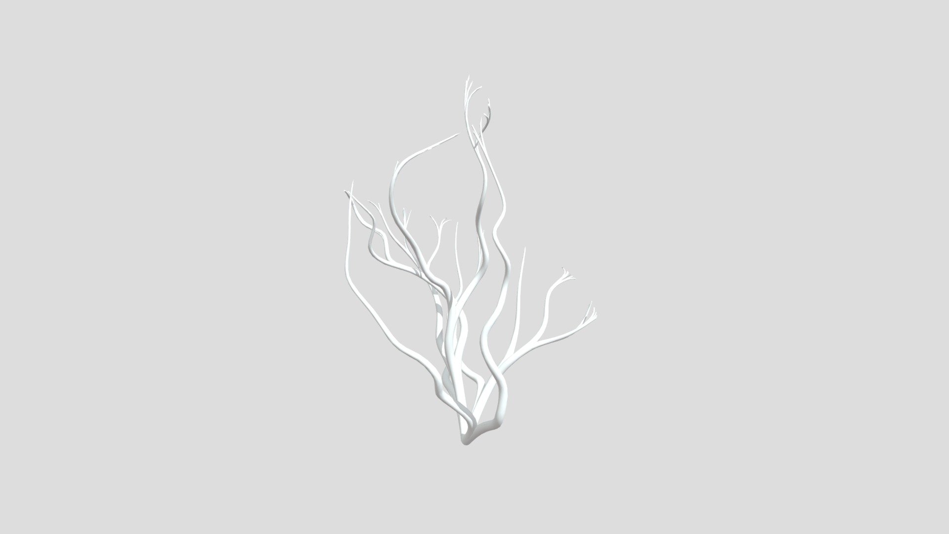Coral Modelo