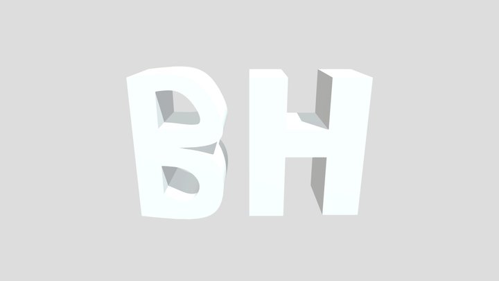 BH 3D Model