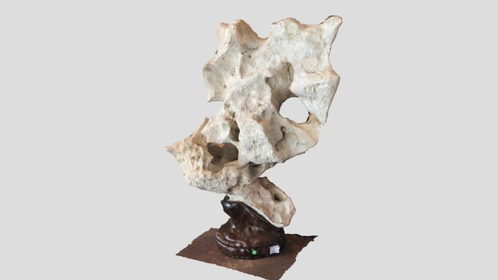 Scholar's Rock 3D Model