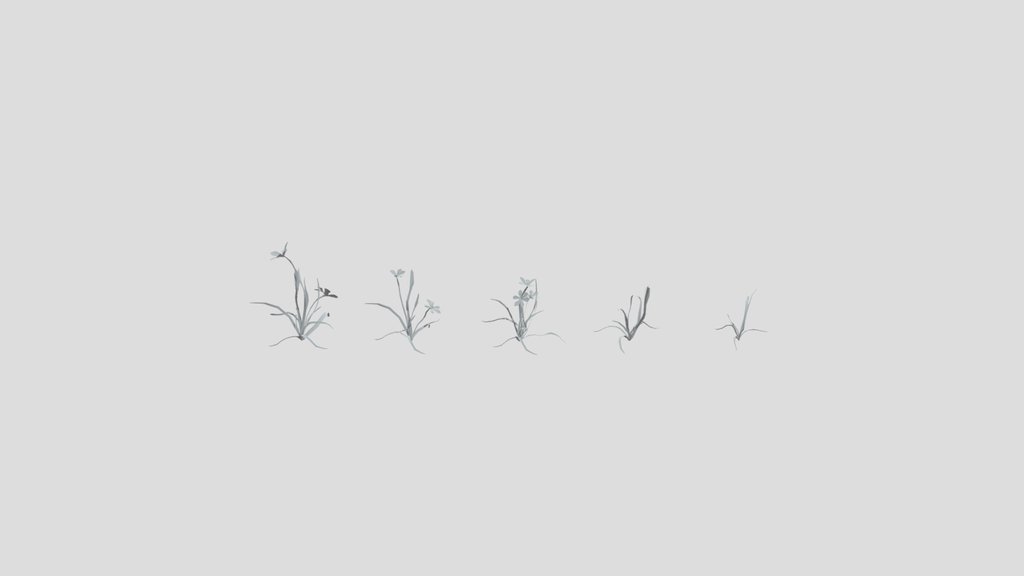 Flower Empodium