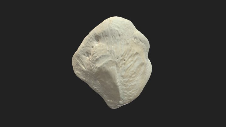 kneecap (patella) horse – Modèle 3D gratuit STL