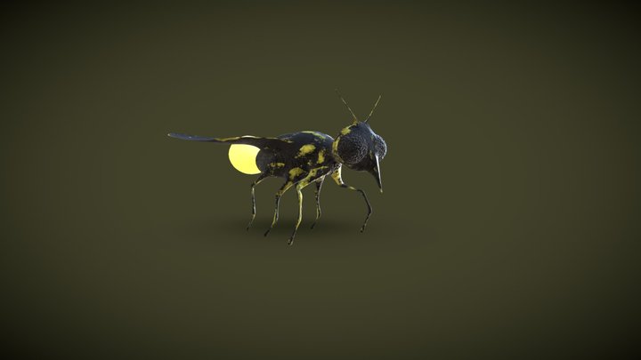 Luciérnaga 3D Model