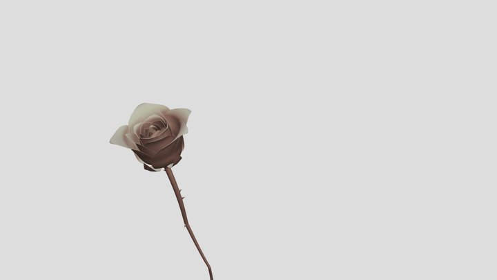 rose 3D Model