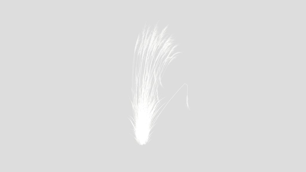 Grass Molinia Caerulea Heidebraut