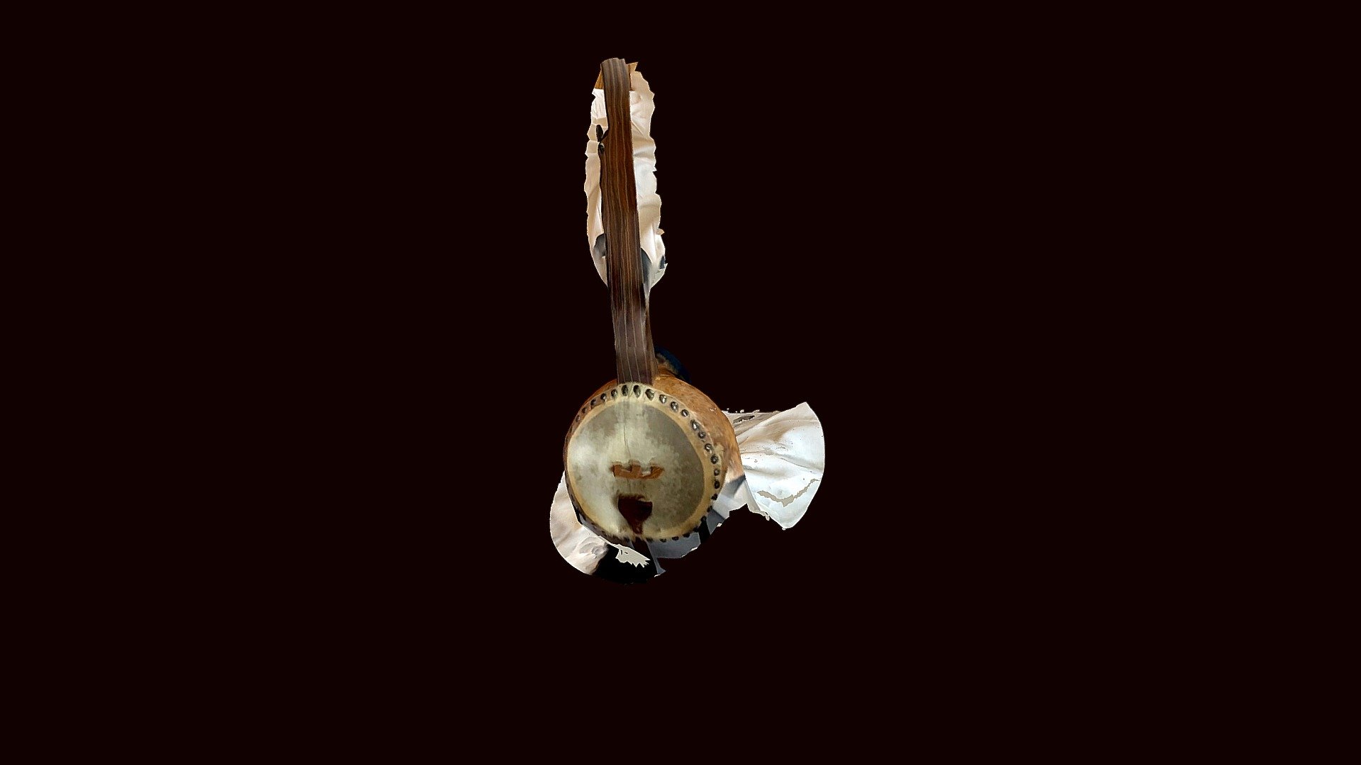 Gourd banjo with neck