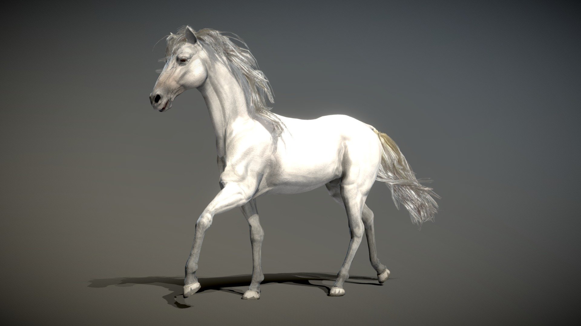 ⭐︎幻のWHITE HORSE⭐︎ Dominant White 13 (W13) in Horses: Genetic Traits and
