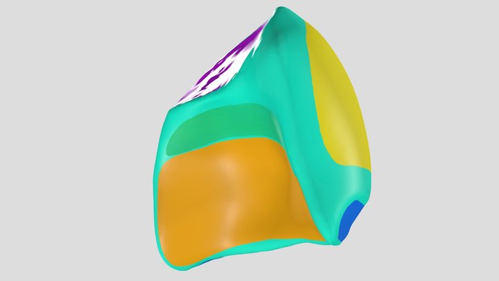 Lunate 3D Model