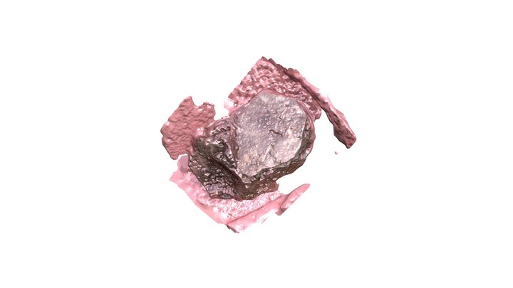 Anni Hagberg - Digital Flux 3D Model