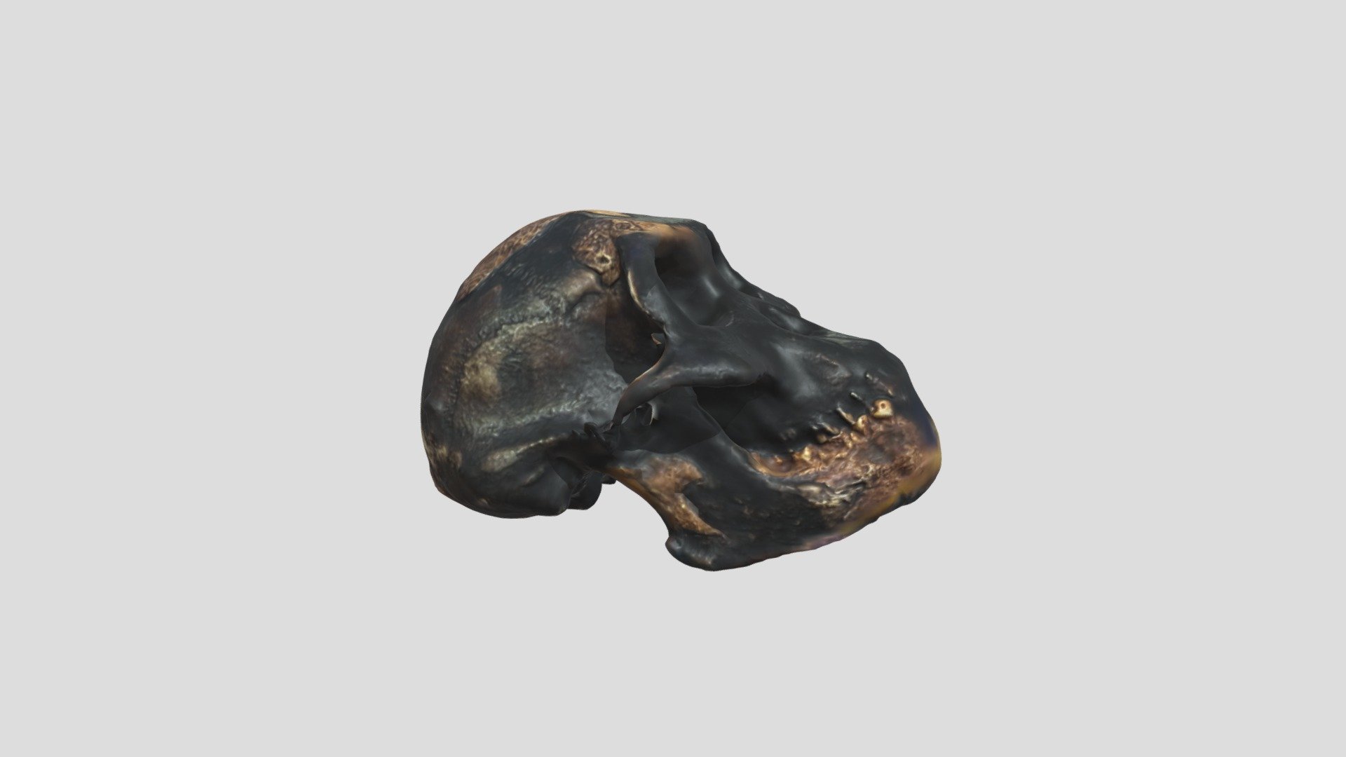Skull4