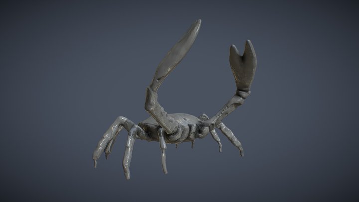 CRAB 3D Model