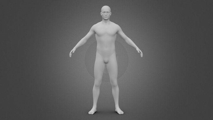 Human rigged low poly model 3D Model