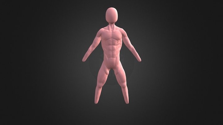 Anatomia 3D Model