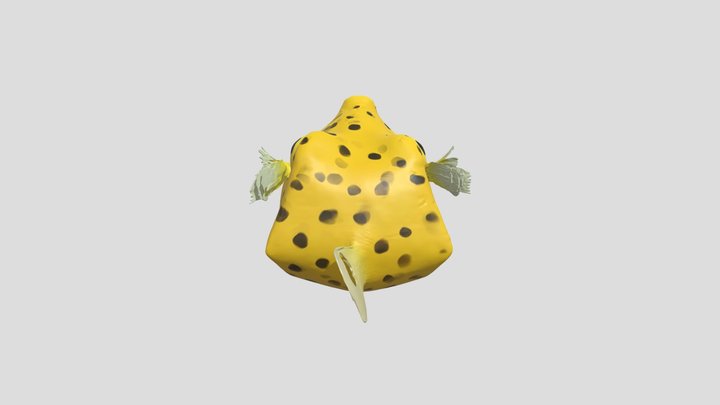 peixe-cofre 3D Model