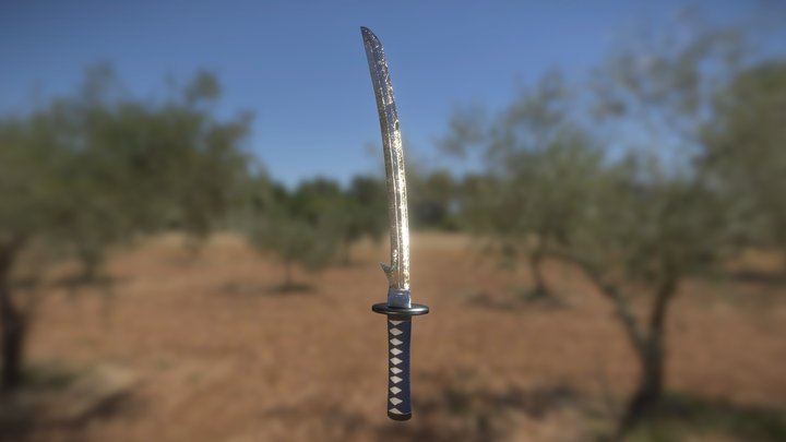 Wakizashi 3D Model