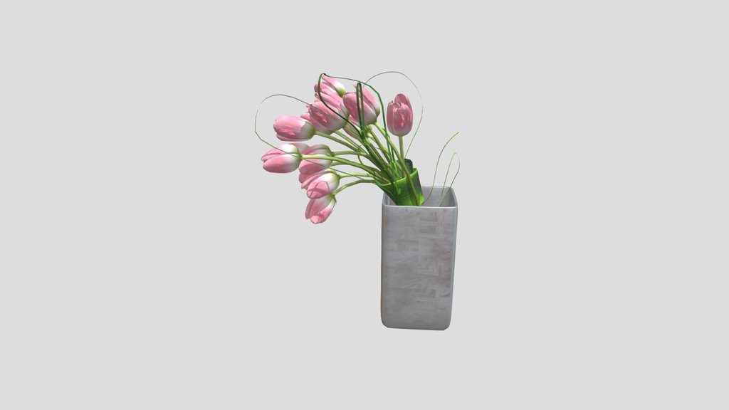 Pink Tulip