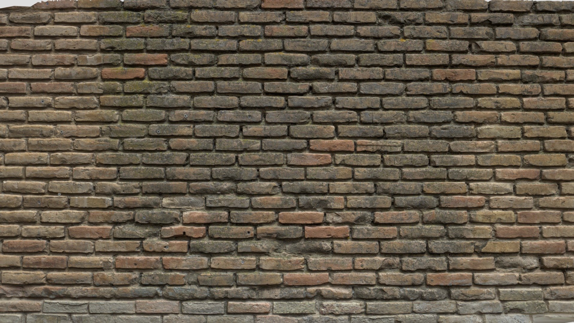 Weathered brick wall - Buy Royalty Free 3D model by yelizegi ...