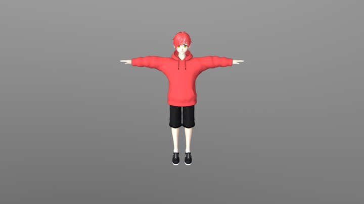Anime Model, Beuatiful Boy, Rigged! 3D Model
