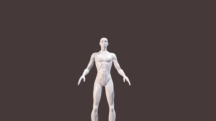 Male Basemesh 3D Model
