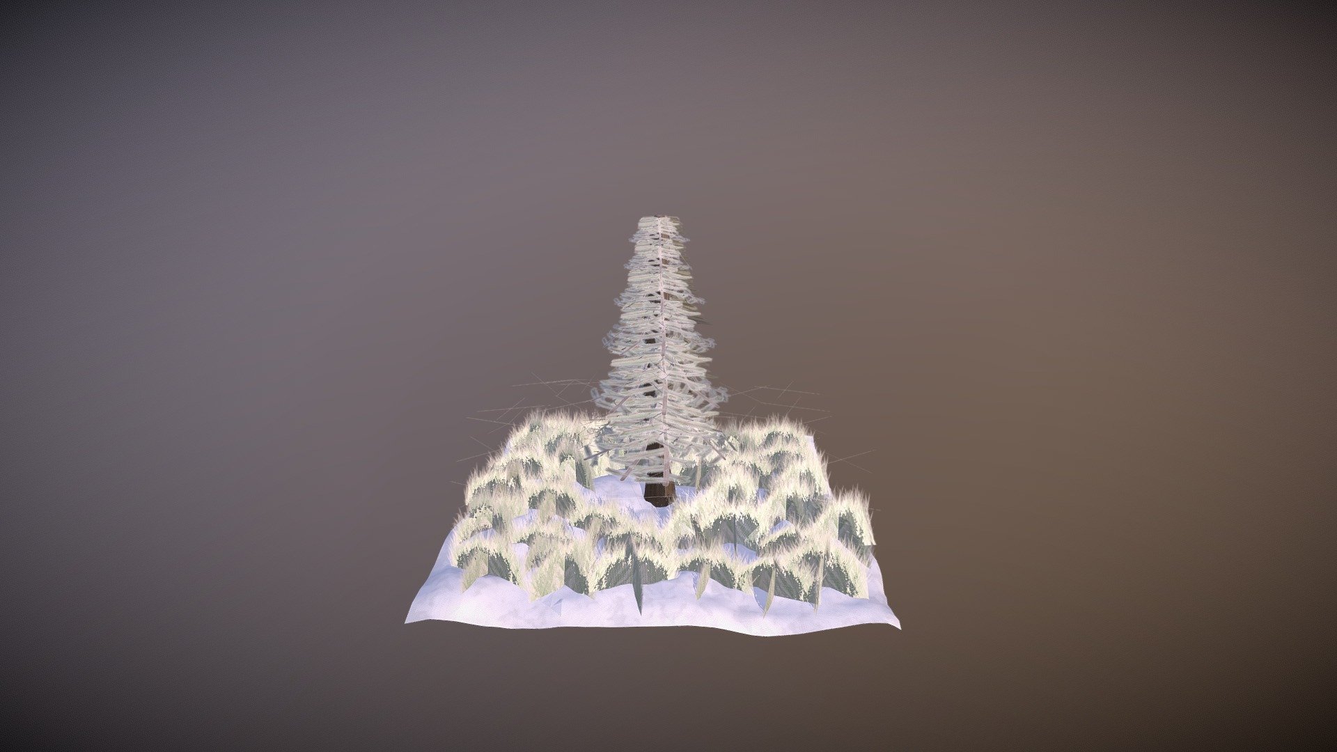 XB1101 // 04: FOLIAGE AND FLORA