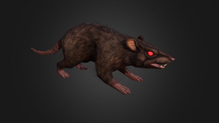 Rat 3D Model