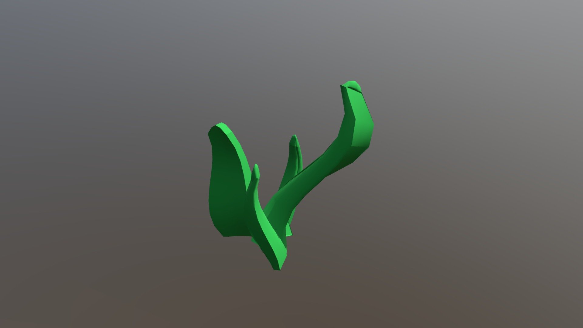 Seaweed