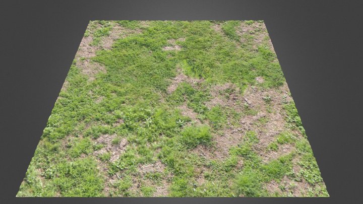Grass Ground V 3D Model