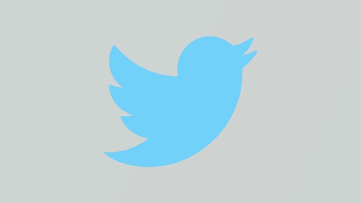 Twitter Logo 3D Model