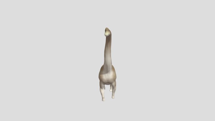 Brachiosaurus 3D Model