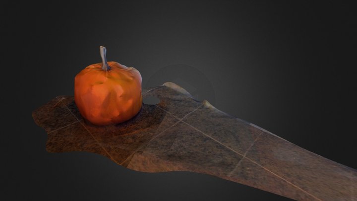 Pumpkin-mesh 3D Model
