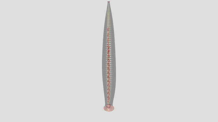 Leech Reproduction System – Modello 3D gratuito STL