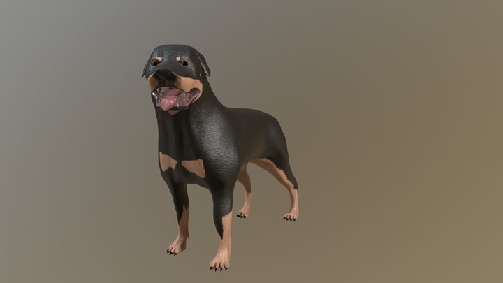Rottweilier 3D Model